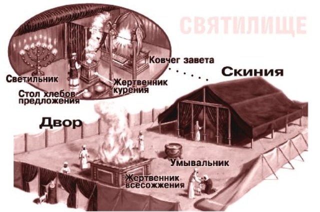 konstruktsiya-skinii