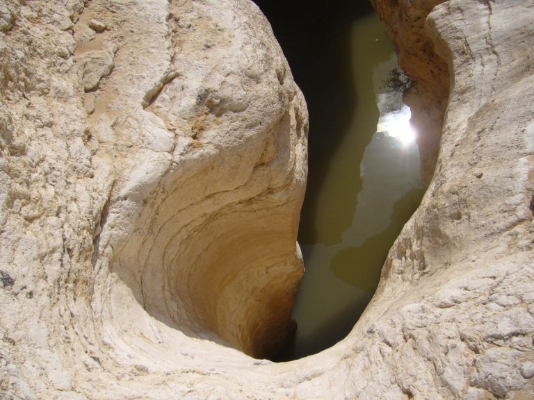Negev-desert (8)