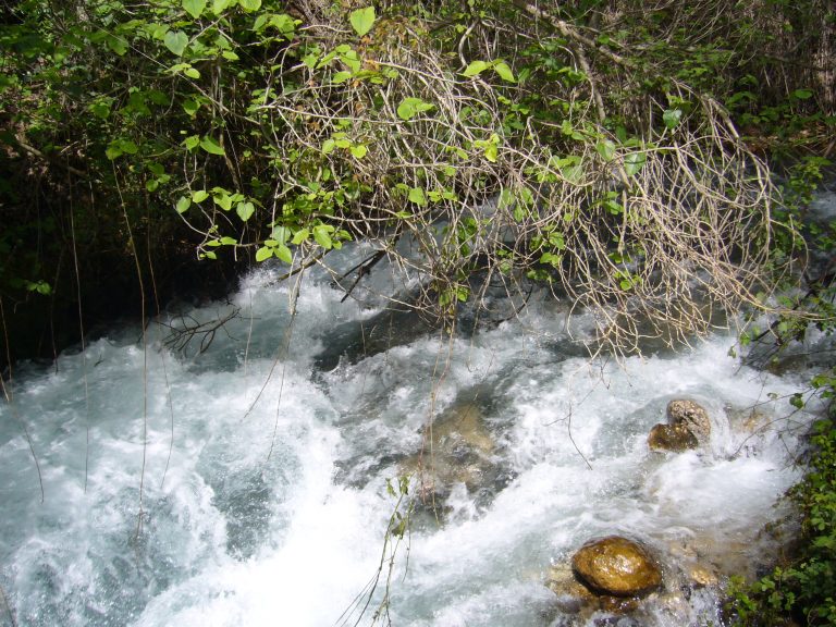 banias-nature-reserve (18)