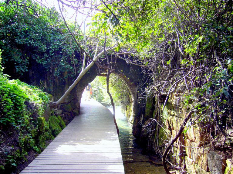 banias-nature-reserve (7)