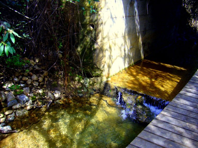 banias-nature-reserve (9)