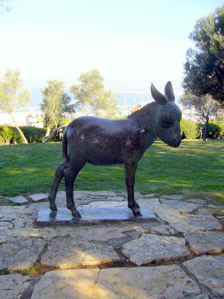 haifa (8)