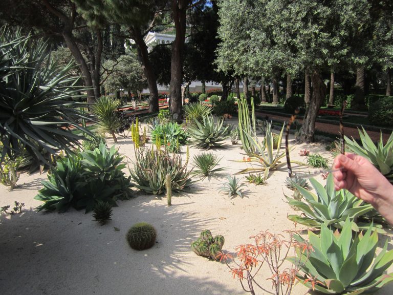haifa-bahai-gardens (5)